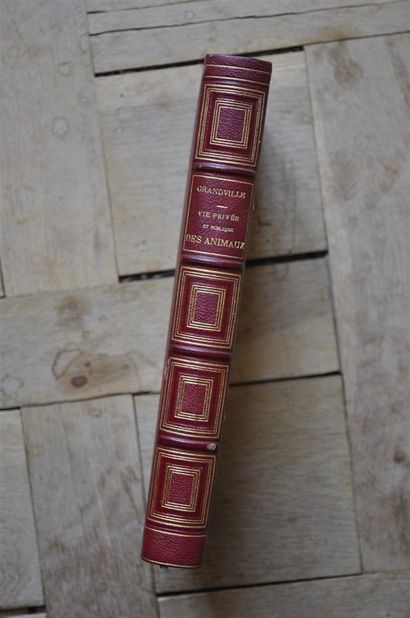 null H. DE BALZAC. Private and public life of animals. Engravings by GRANDVILLE....