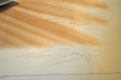 null Lithographie encadrée sous-verre traité signée François Bruère n° 216/500

représentant...