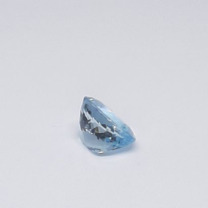 Aigue-marine - BRESIL - 8.60 cts Natural MARINE EAGLE - From Brazil - Blue color...