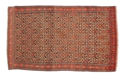 null Très fin tapis SENNEH (Perse), fin du 19e siècle

Dimensions : 200 x 125cm.

Caractéristiques...