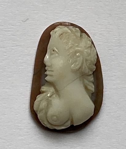 null Agate cameo carved with a bust of bacchante, bare breasts, face. On the left....