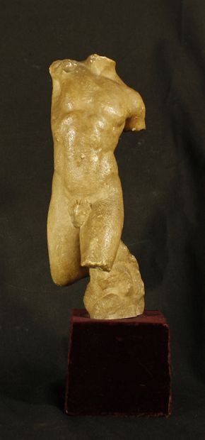 
Torso of a man in alabaster with underlined...