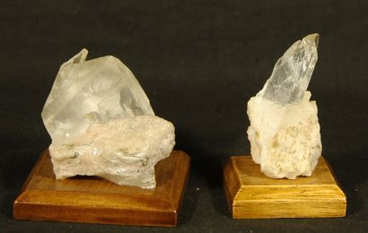 null 
Lot of 3 Gypses on dolomite one of 11cm and 6,2cm for the longest crystal and...