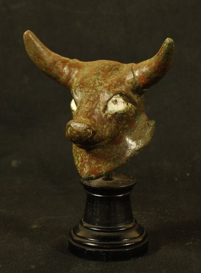 null Head of a bull in bronze with large transverse horns whose eyes are inlaid with...