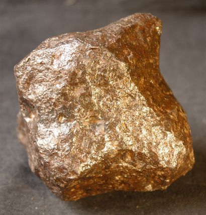 null 
Important meteorite of Campo del Cielo, province of Chaco and Santiago del...