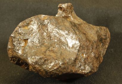 null 
Important Meteorite of Campo del Cielo, province of Chaco and Santiago del...