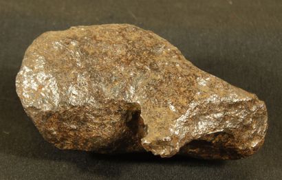 null 
Important Meteorite of Campo del Cielo, province of Chaco and Santiago del...