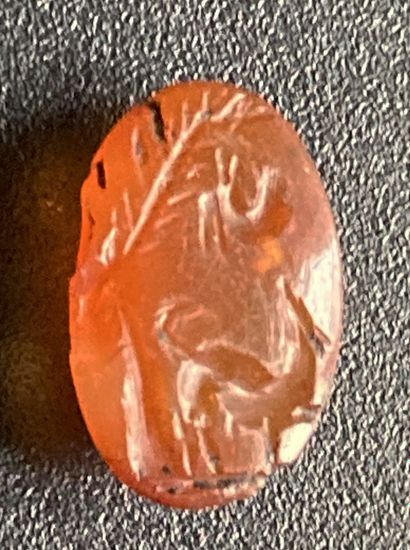 null Carnelian intaglio engraved with a dog watching an animal under a tree. Italic...