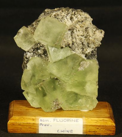 null 
Fluorine, Chine, H : 8,2 cm, cristaux 2,5cm en moyenne de hauteur
