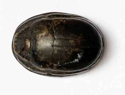 null Burnt soapstone scarab engraved with a sphinx. Egypto-phoenician, 17X13mm