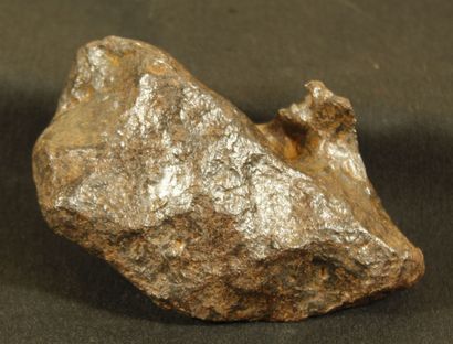  Important Meteorite of Campo del Cielo , province of Chaco and Santiago del estrero....