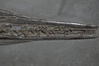  Skull of ichthyosaur: Stenopterygius megacephalus. Dating from the Mesozoic Era,...