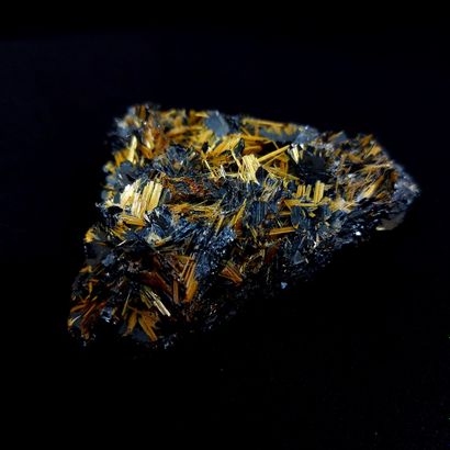 null Specularite with multiple golden rutile needles contrasting with black metallic...