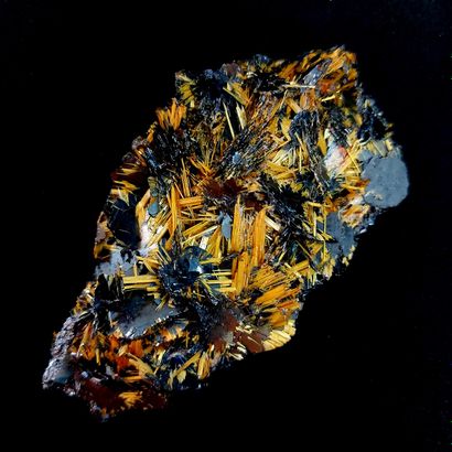  Specularite with multiple golden rutile needles contrasting with black metallic...