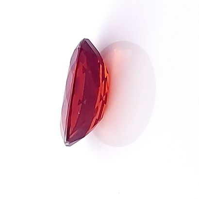 Spessartite - BRESIL - 3.35 cts Spessartite - From Brazil - Orange color - Oval size...