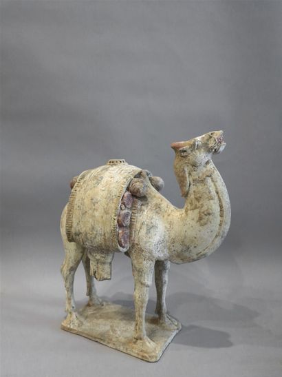 null Blatant camel.

Terracotta, traces of polychromy.

China. Tang Dynasty. 618...