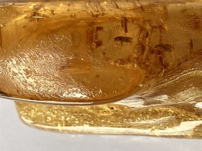 null Amber with inclusions of several cockroaches and moth. Northern Madagascar,...