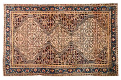 null Tapis MELAYER (Perse), fin du 19e siècle

Dimensions : 194 x 125cm.

Caractéristiques...