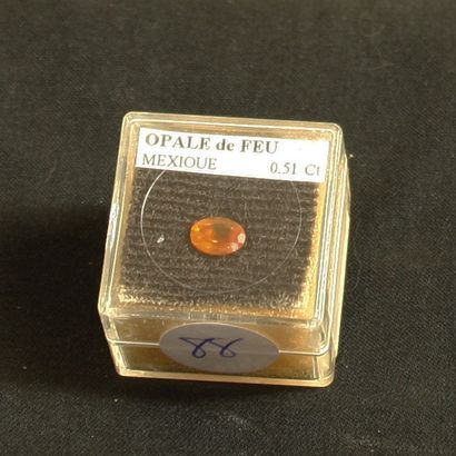 null Opale de feu du Mexique taillée. 0,51 carat