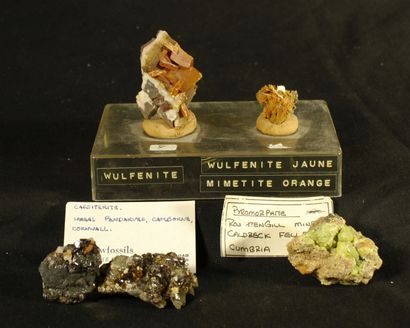 null Lot de quatre minéraux : Pyromorphite Rouhtengi de Mine Cumbria,Wulfénite Mimétite...