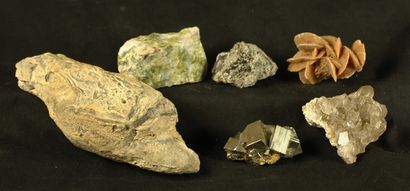 null Lot de 5 Minéraux : Pyrite, Quartz,2 minéraux et une huitre fossilisée. L :...
