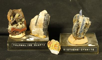 null Lot de 4 minéraux : Adamite, Tourmaline sur quartz, Disthène cyanite et Auripigment...