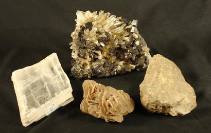 null Lot de 4 minéraux et fossiles : Quartz sur Gypse, une rose des sables, un gypse...