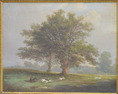 null Ecole Française du XIX°. Chasse à courre. Huile sur toile. 32x40cm (accident...