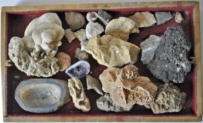 Petite collection de roches et fossiles