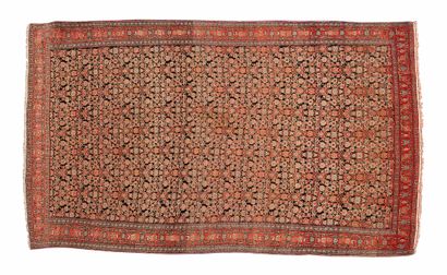 null Très fin tapis SENNEH (Perse), fin du 19e siècle

Dimensions : 200 x 125cm.

Caractéristiques...