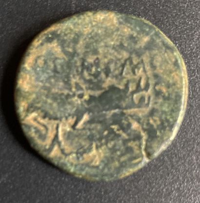 null NEMAUSUS - NÎMES - AUGUSTE et AGRIPPA Dupondius. 10-14 AD.:Nîmes, cuivre 14,3...