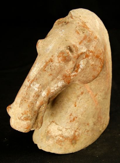 null Horse's head in grey terracotta with red slip heavily encrusted with limestone....