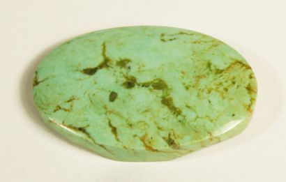 Nevada Turquoise, 66.92cts.