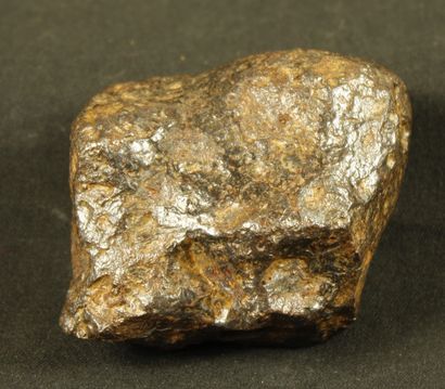 null Important meteorite of Campo del cielo, province of Chaco and Santiago del estrero...
