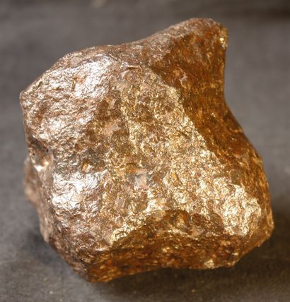 null Important meteorite of Campo del cielo, province of Chaco and Santiago del estrero...