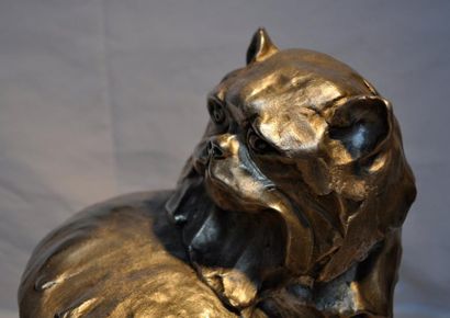 Jose Maria DAVID (1944-) Le chat persan. Bronze argente. Signé, épreuve d'artiste...