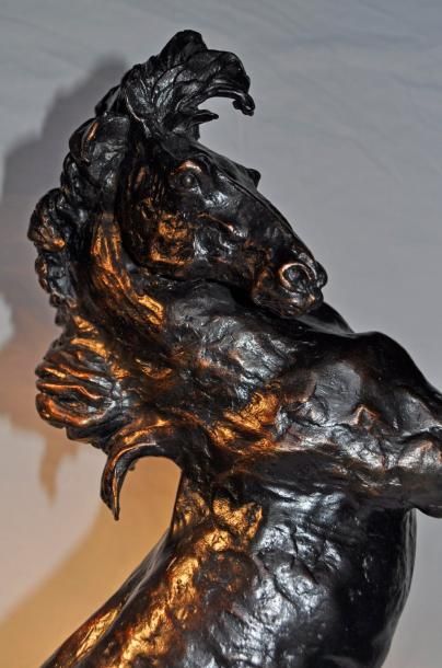 Jose Maria DAVID (1944-) Le cheval cabré: BENJAMIL pur sang arabe barbe. Bronze....