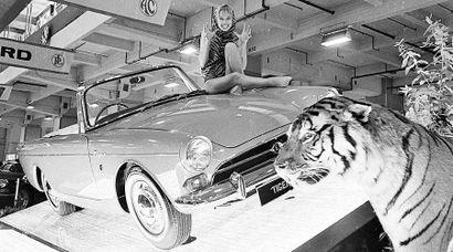 null SUNBEAM ALPINE Tiger MKI – 1967
N° Série: B94733575

La Tiger est le développement...