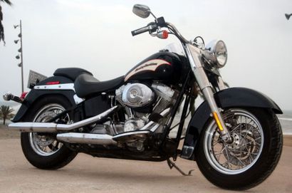 HERITAGE SOFTAIL Marca: Harley Davidson
Modelo: Heritage Softail
Modelo Original:...