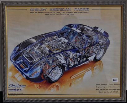 Cobra Daytona, Eclaté. 40x50cm