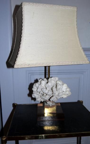 null Maison Charles - Lampe corail blanc - bras en carton ,montée sur plexiglas -...