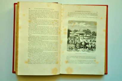 KANITZ. La Bulgarie. Illustré de 100 gravures et 1 carte. Paris Hachette 1882