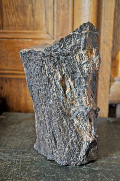 null Important bois fossilisé, Ht. 23cm , Long 15cm