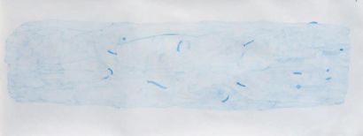 BENOIT BLANCHARD RELEVÉ (CANTONNIER NYC) #1, 2013 Crayon bleu sur canson 46 x 122...