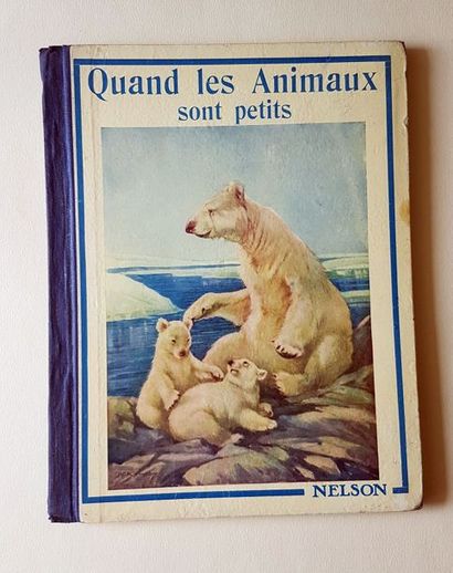 null KENNEDY A. E.

Quand les animaux sont petits

Editions Nelson, 1932, très bon...