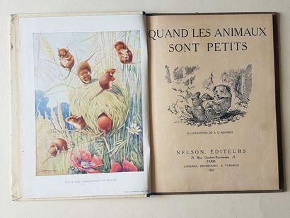null KENNEDY A. E.

Quand les animaux sont petits

Editions Nelson, 1932, très bon...