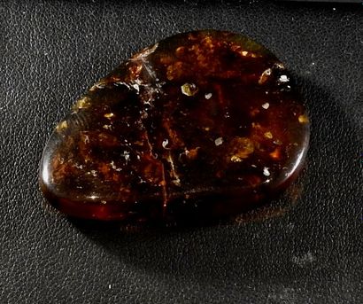 null Ambre ancien.Burmite.

Considéré comme le plus vieil ambre du monde datant d’environ...