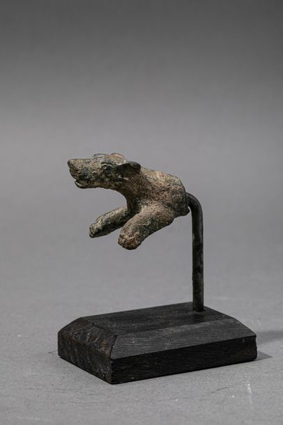 null Protomé de chien.Epoque romaine.Bronze.L: env 4cm.