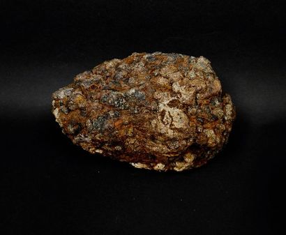 null Belle météorite complète pallasite en ferro-nickel à inclusions à cavités scoriacées...