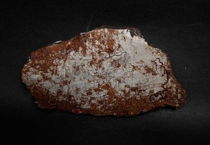 null Tranche de météorite ferro-nickel sidérite IA qui montre la structure de Widmanstatten...